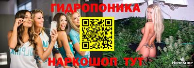 a pvp Пугачёв