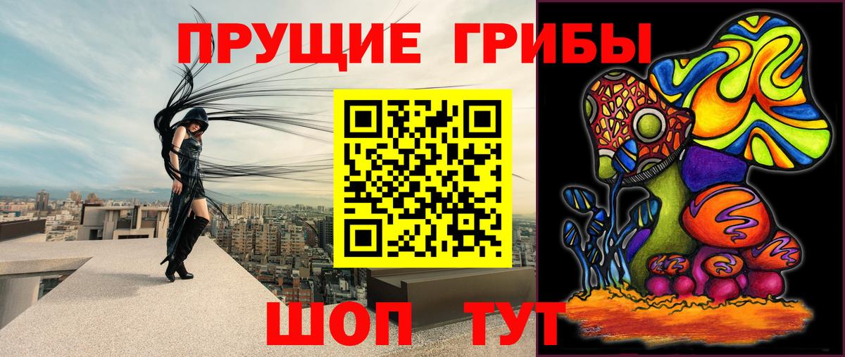 сколько стоит  Вход с VPN  Урай  Псилоцибиновые грибы Cubensis  Галлюциногенные грибы Magic Shrooms 